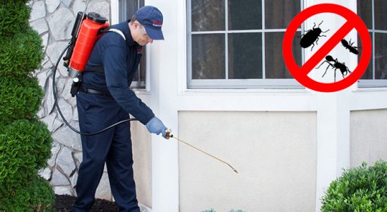 Atakent Böcek İlaçlama böcek ilaçlama ve haşere kontrolü — ilaclama-tr.com